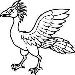 Archaeopteryx line arts with white background. Archaeopteryx Line Art, Black and White Cartoon Dinosaur Illustration