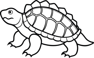 Archelon-turtle line arts with white background 