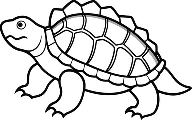 Archelon-turtle line arts with white background 