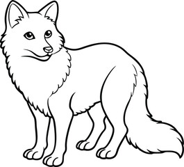Arctic fox line arts with white background. 