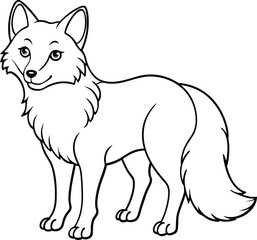 Arctic fox line arts with white background. 
