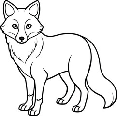 Arctic fox line arts with white background. 