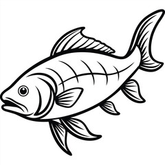 Asian carp line arts with white background. Vector illustration of a isolated silhouette of carp fish on white background.
