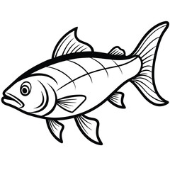 Asian carp line arts with white background. Vector illustration of a isolated silhouette of carp fish on white background.