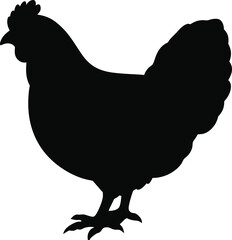 Australorp chicken line arts with white background. silhouette of a chicken on white
