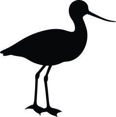 Avocet line arts with white background. Avocet Vector Silhouette , Avocet Illustration , Avocet Art Hand Drawn Line Art