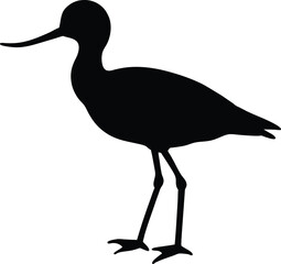 Avocet line arts with white background. Avocet Vector Silhouette , Avocet Illustration , Avocet Art Hand Drawn Line Art