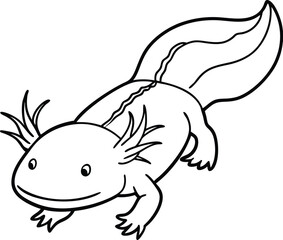 Axolotl line arts with white background . Vector antique engraving illustration of axolotl salamander isolated on white background