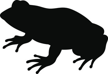 Clawed line arts with white background