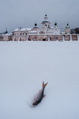 View of the Kirillo-Belozersky Monastery with fish in the foreground from the lake. Vologda Region