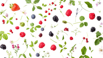 Forest berries transparent background