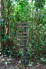 Alajuela Province, Costa Rica - November 19, 2024 - path through rainforest in the Tenorio Volcano National Park