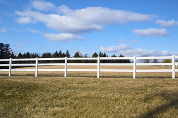A white wooden fence against a yellow field with dark trees and a blue sky in the background. Photograph of farmland. 