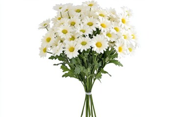 Obraz premium Stunning White Daisy Bouquet