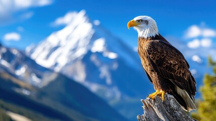 Bald eagle perched on branch with snow-capped mountain in background