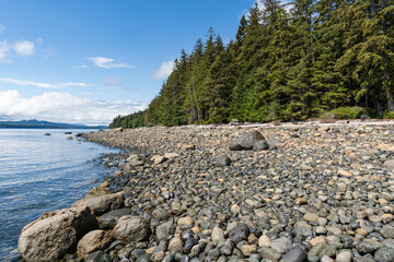 rocky and pebbles shore surrounded by trees Malcolm Island Queen Charlotte Strait Canada British Columbia
