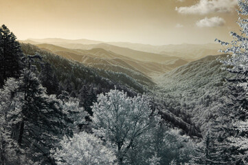 B&W Infra-Red Landscape in the Great Smoky Mountains