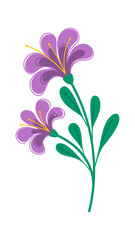 Cute flower blooms botanical element