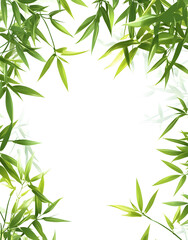 Fototapeta premium Elegant Bamboo Leaves on White Background – Minimalist Nature Design