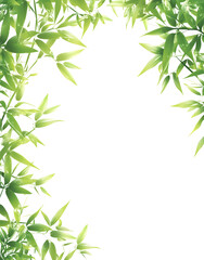 Naklejka premium Elegant Bamboo Leaves on White Background – Minimalist Nature Design