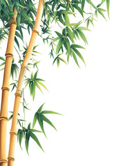 Obraz premium Elegant Bamboo Leaves on White Background – Minimalist Nature Design