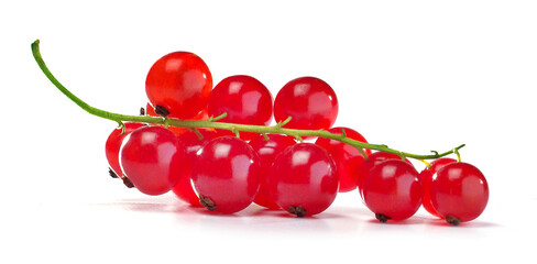 Gałązka czerwonych porzeczek na białym tle © Jolaya