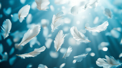 Soft white feathers drifting in a serene blue atmosphere with gentle light rays