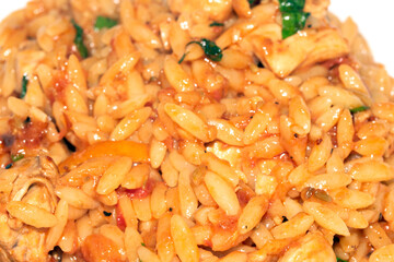Close Up of Tomoto Based Orzo Rice Sauce Dinner Snack Dish on a White Background
