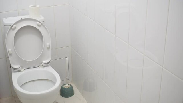 toilet bowl in a bathroom