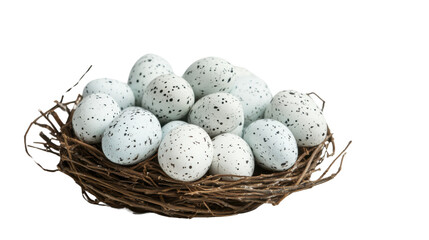 Eggs in nest transparent background