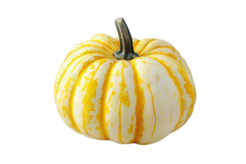 decorative pumpkin with a smooth. rounded shape. predominantly white with vibrant yellow stripes it is often associated with autumn and harvest festivities. making it a popular choice for seasonal dec