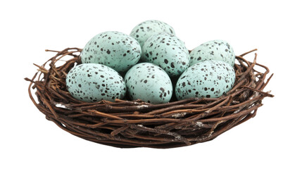 Eggs in nest transparent background