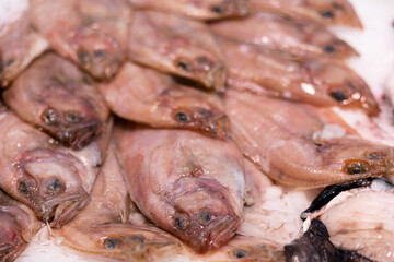 Fresh catch of European sole fish on ice close up. Cleaned fish for cooking and restaurants