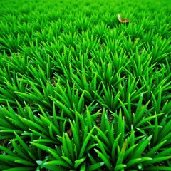 Lush green grass texture, vibrant emerald hue, healthy, summer