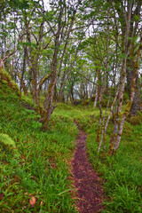 Fototapeta premium Aselund hiking from Sukkertoppen, The Sugar Top trail views, coast and fjord, World War Bunkers, Norway, Scandinavia Europe.