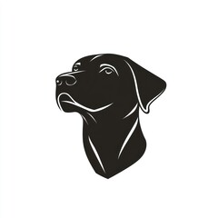 Black Labrador head profile, alert expression, white background, pet portrait