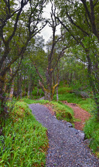 Aselund hiking from Sukkertoppen, The Sugar Top trail views, coast and fjord, World War Bunkers, Norway, Scandinavia Europe.