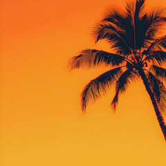 Silhouetted Palm Tree Stands Tall Against Vibrant Orange Sunset Sky Background