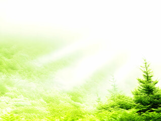Obraz premium Green Forest Landscape Shines with Sunlight through Fog Beautifully and Calmly with Lush Greenery