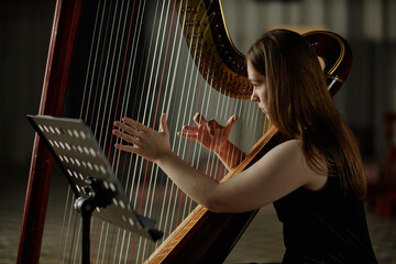 Side view of concentrated female harpist playing classical music plucking strings softly while...