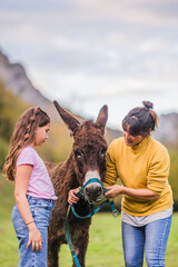 Woman and girl caring for donkey in quiros, asturias, spain
