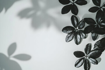 Dark Leaves Arranged on White Background with Shadows Beautifully and Elegantly