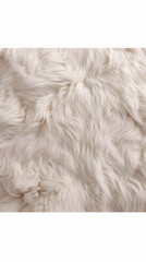 Obraz premium Soft White Fur Texture Background Creates a Cozy and Luxurious Feel for Design Projects