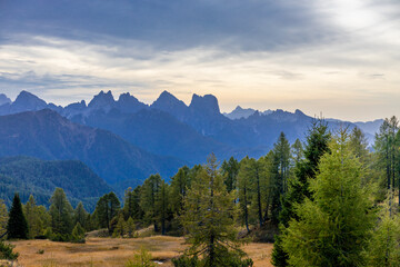 Autumn colors in the mountains. Golden autumn yellow leaves of the trees in the mountain forest in Dolomiti Alps, Italy. Dolomites beautiful autumn landscape