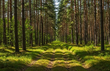 Obraz premium landscape with mountains and clouds
