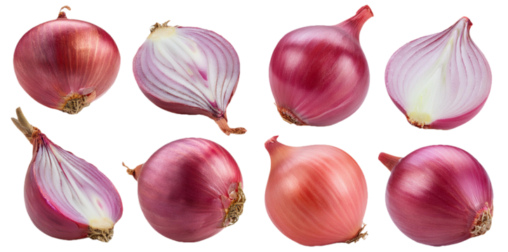 Red onion varieties whole and sliced isolated on transparent background
