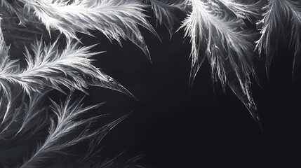 Obraz premium Realistic frostwork pattern ice crystals on black background for overlay or effect, frost, ice, crystals, window, cold. Frostwood. Illustration