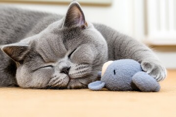 British shorthair cat playing with a toy mouse on the floor