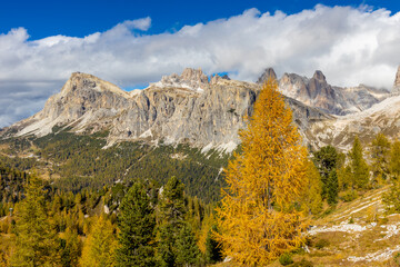 Fototapeta premium Autumn colors in the mountains. Golden autumn yellow leaves of the trees in the mountain forest in Dolomiti Alps, Italy. Dolomites beautiful autumn landscape