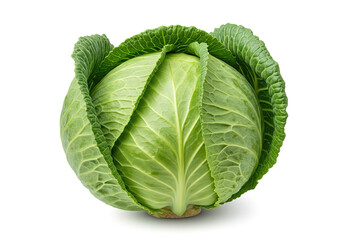 Obraz premium cabbage isolated on white background, clipping path, full depth of field